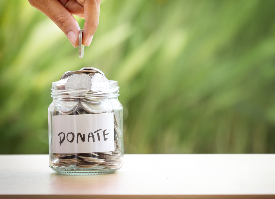 wisdom for society foundation